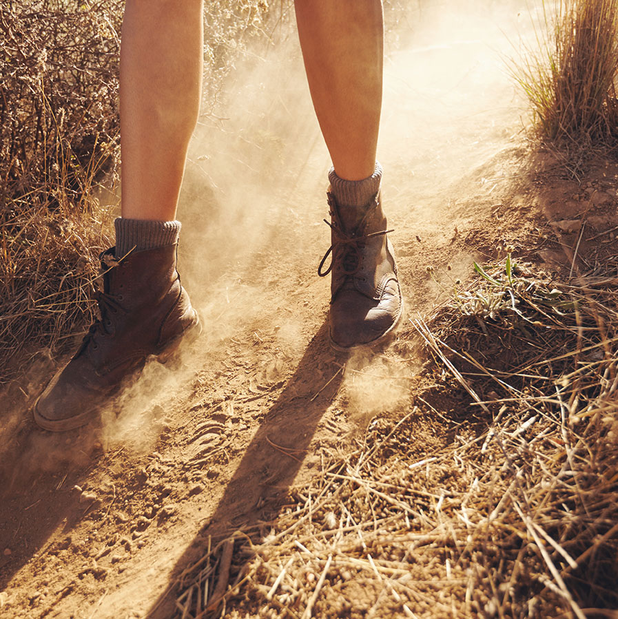 Ideale reisgenoot voor alleenreizigers