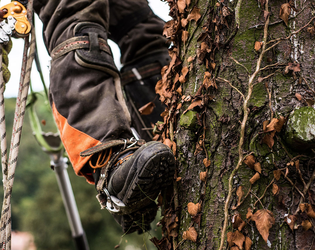 MyBuddy spreekt en luistert